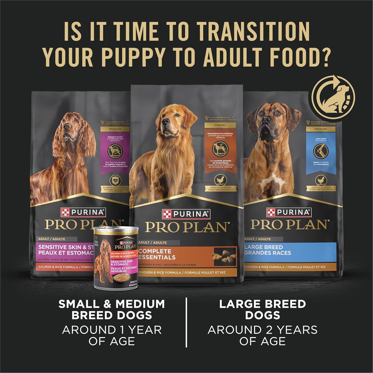 Pate Wet Puppy Food, DEVELOPMENT Chicken & Brown Rice Entree - (12) 13 Oz. Cans