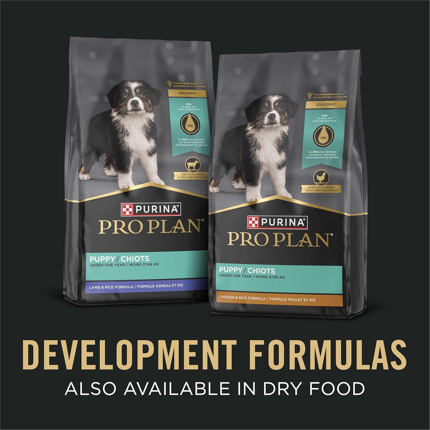 Pate Wet Puppy Food, DEVELOPMENT Chicken & Brown Rice Entree - (12) 13 Oz. Cans