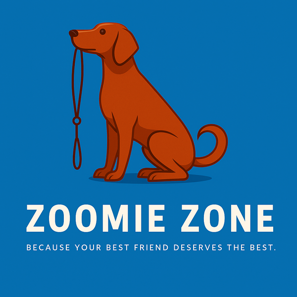 Zoomies zone